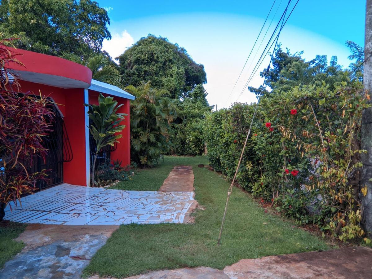 Las Galeras Island Hostel المظهر الخارجي الصورة